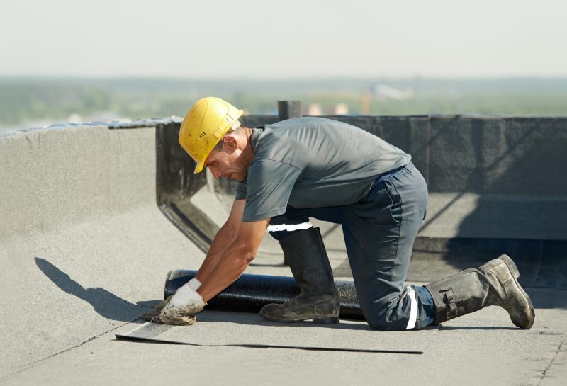 New Single Ply Roof Systems