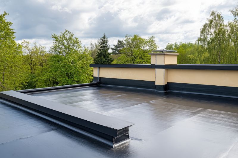 Roof Coating