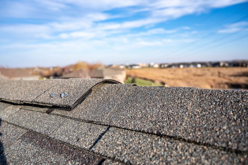 Signs Your Shingle Roof Needs Repair